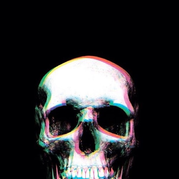 punkskunk13